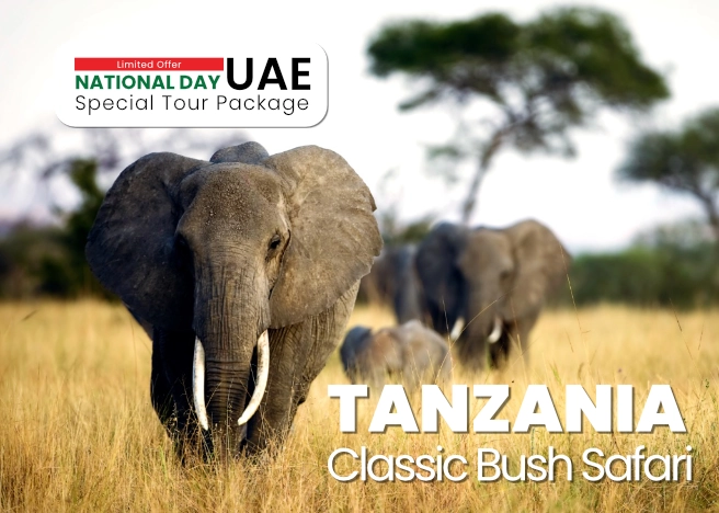 classic bush safari tanzania
